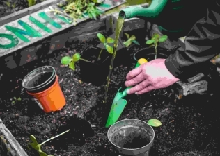 Garden Tool Storage: Preparing For The Off-Season